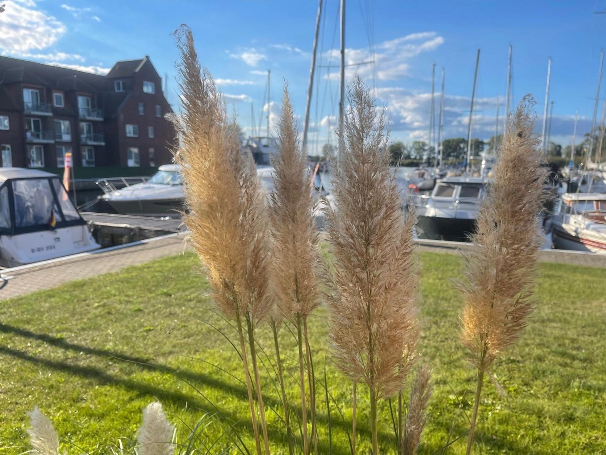 Liepgarten Bei Ueckermuende Fewo 15 - Zum Kolk Apartment Exterior photo